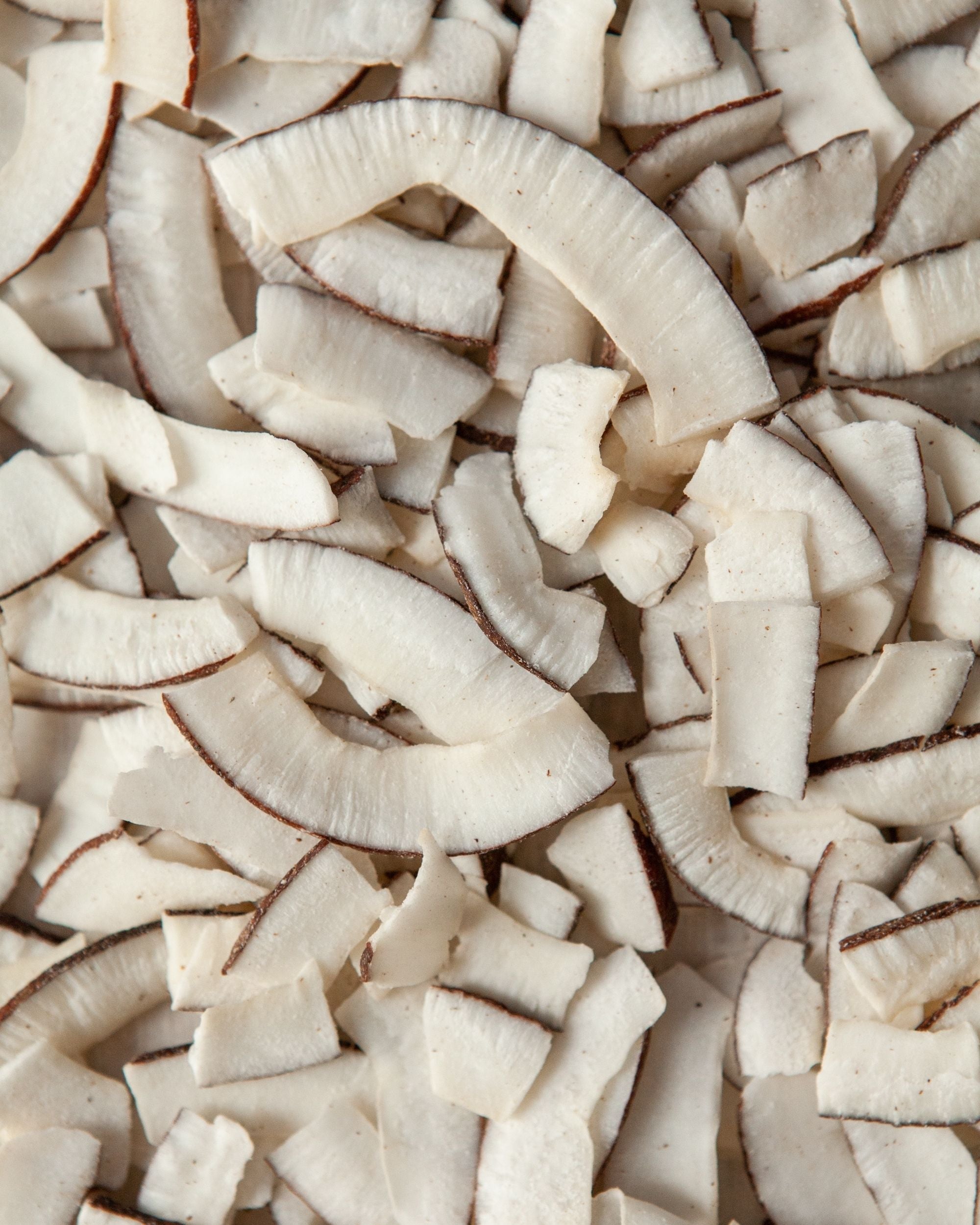 Cocco