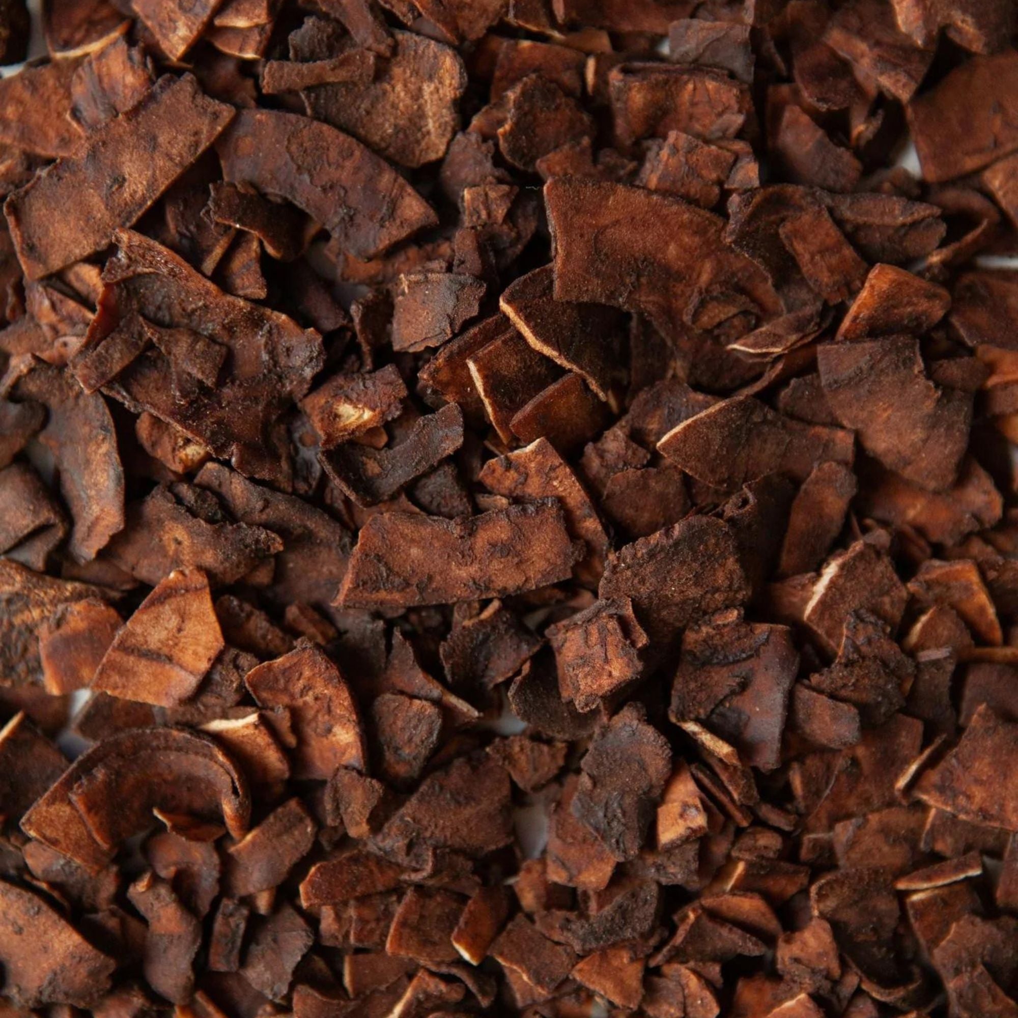 Cacao e Cioccolato