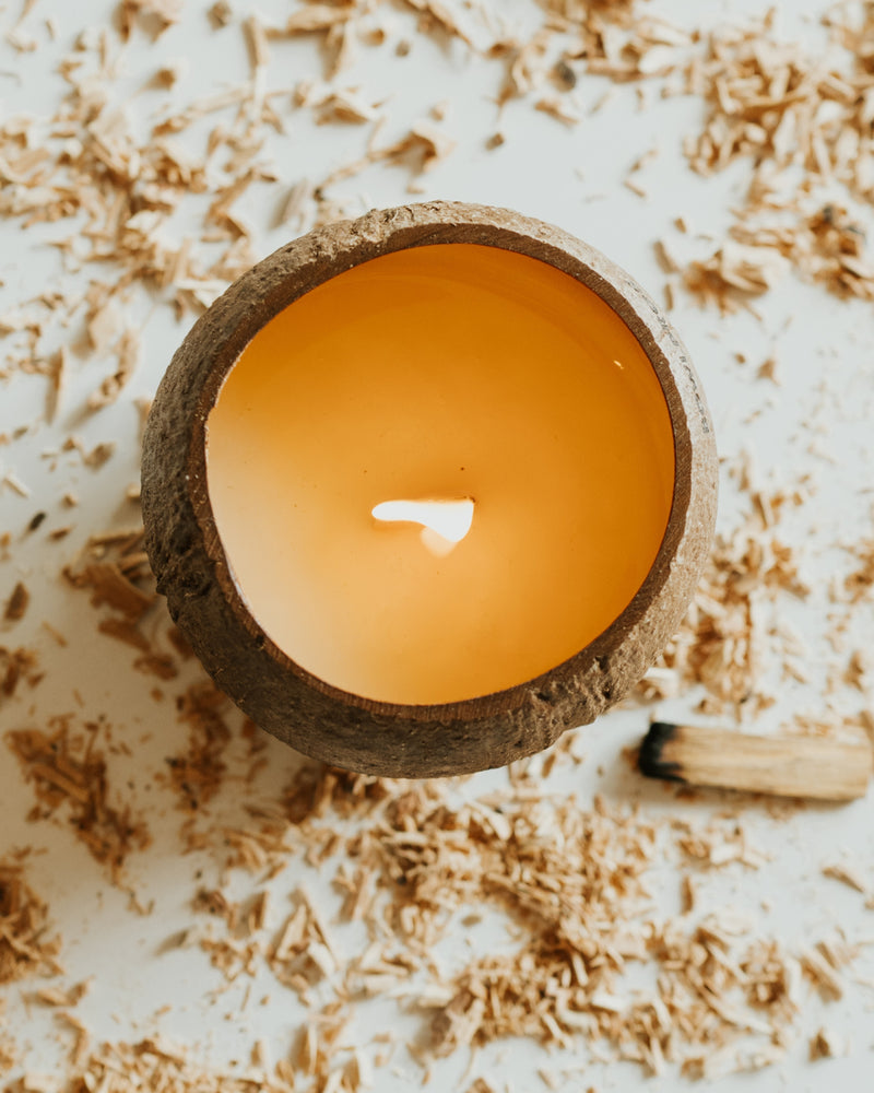 Coco candle in vera noce di cocco sostenibile con odore di pino