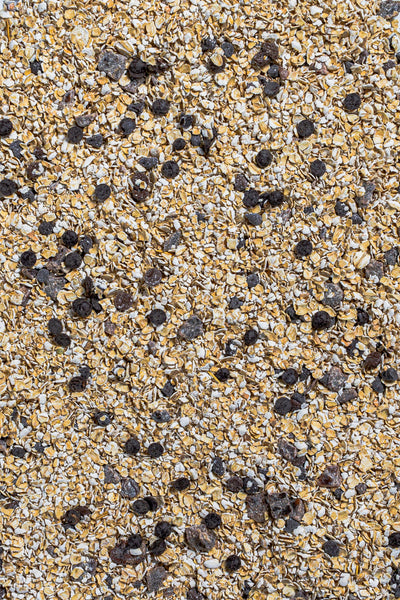 Porridge al Cioccolato