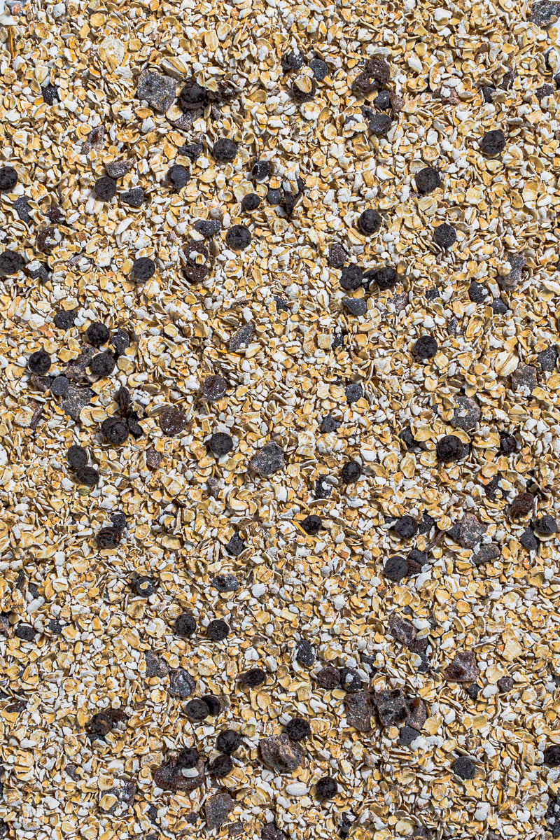 Porridge al Cioccolato