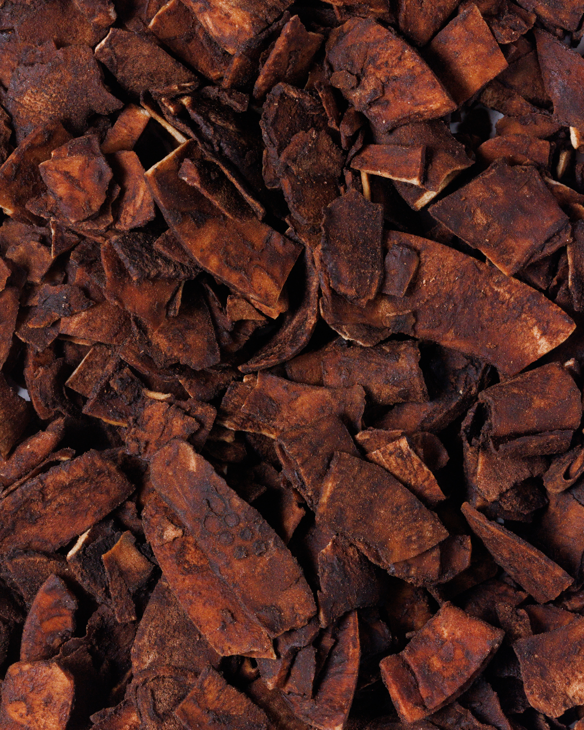 Chips di Cocco al Cacao