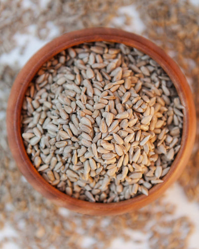 Con i semi di girasole potrai integrare proteine e fibre poichè hanno un contenuto proteico elevato